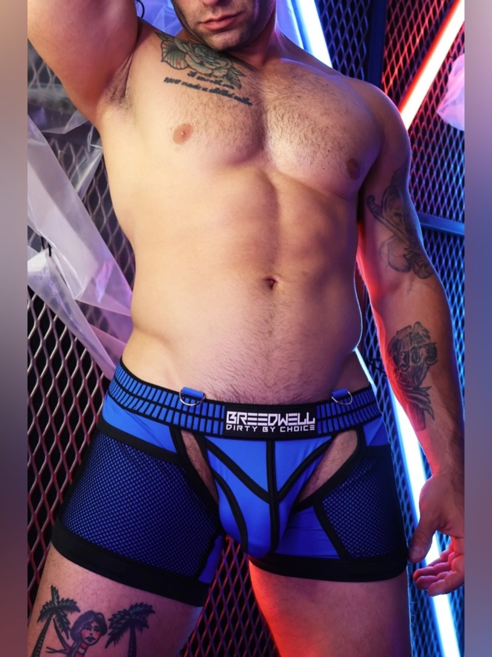🆕 Breedwell Hybred Chock Jock - Large